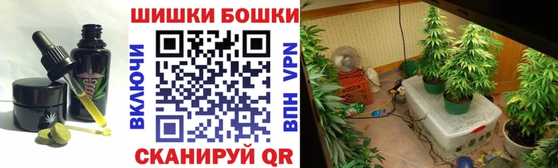 Cannafood конопля Тара