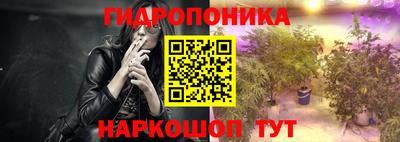 таблы Сланцы