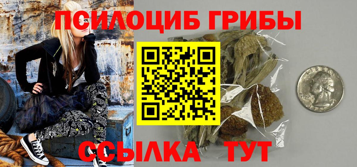 Псилоцибиновые грибы GOLDEN TEACHER Тара